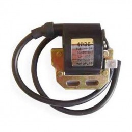 Bobina de Alta Electronica...